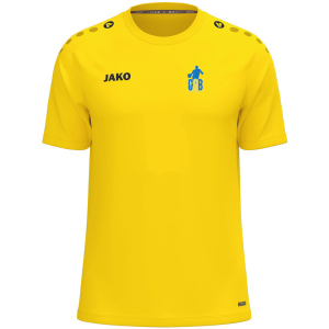 TEE SHIRT POLYESTER
